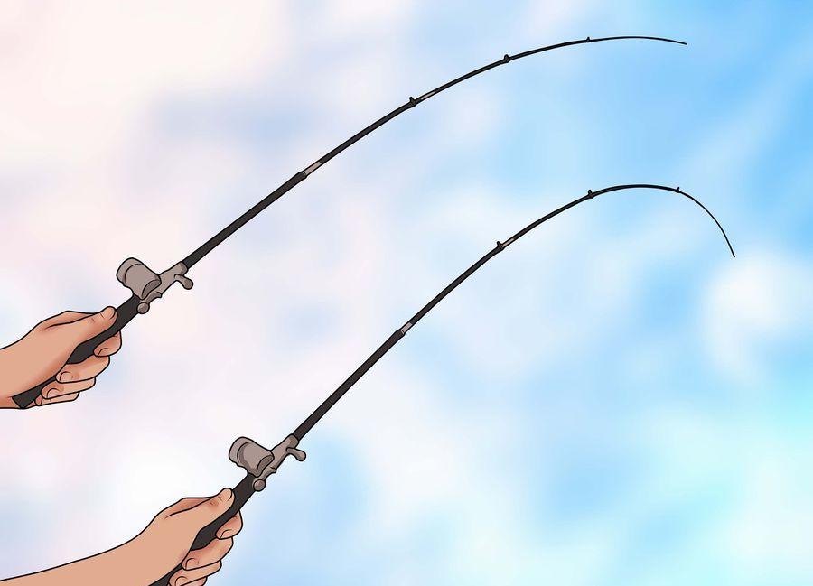 How to Choose a Fishing Rod? - Global Fishing Tackle